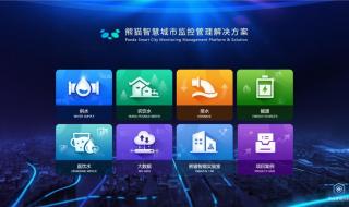 熊猫长着一张人脸 熊猫长着一张人脸