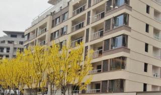 重庆一分一段表